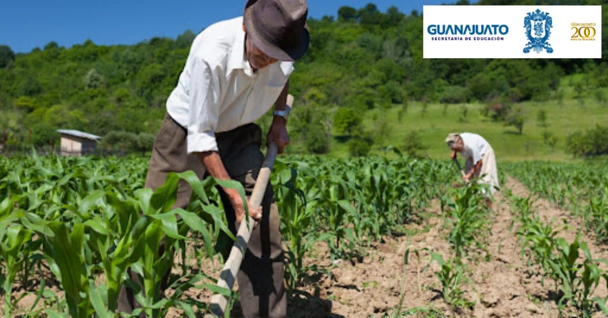 apoyo-guanajuato-captacion-pluvial