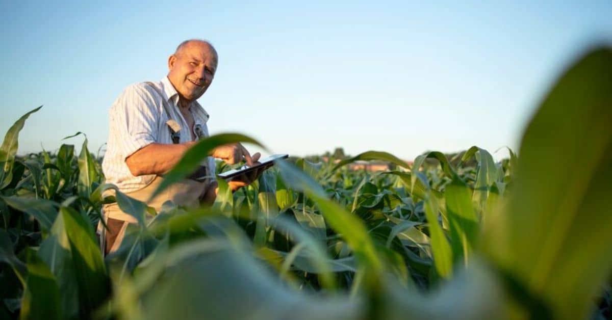 apoyo-guanajuato-fomento-al-aseguramiento-agropecuario