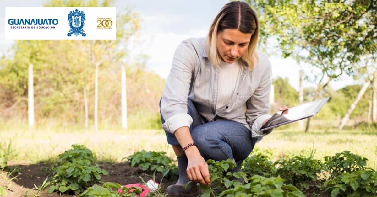 apoyo-guanajuato-para-productores-del-campo