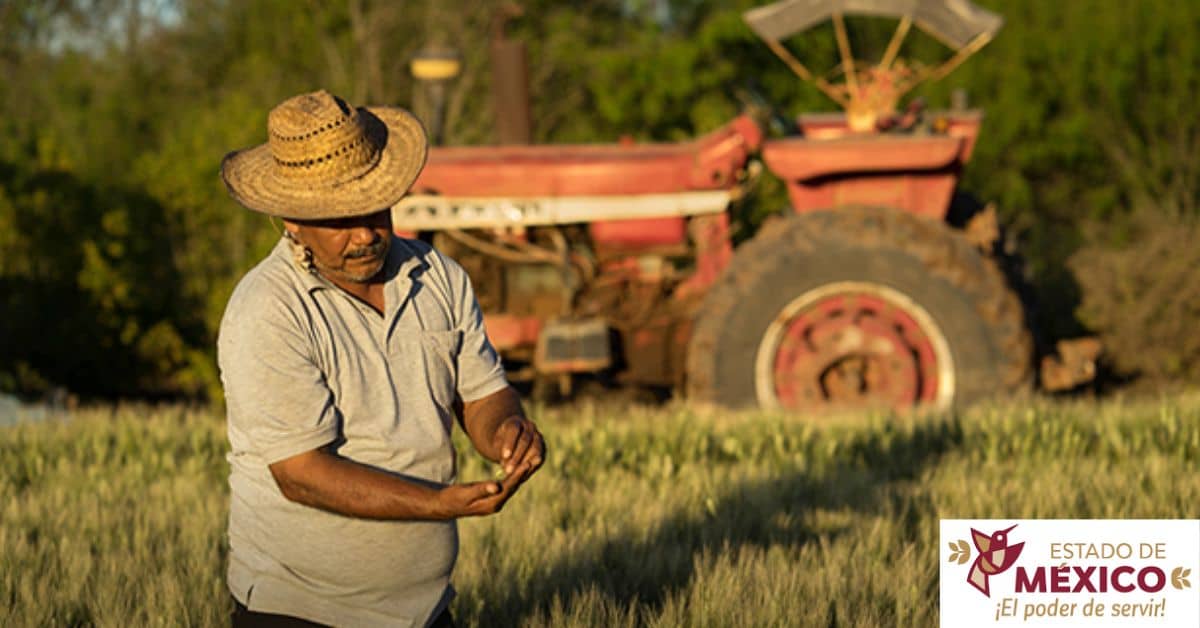 apoyos-para-el-campo-edomex-lista-de-programas