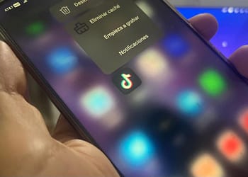 TikTok puede hacer peligrar a la globalización Foto: Datanoticias