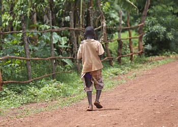 Si el mundo ni siquiera puede llevar alimentos a los niños hambrientos, ¿cómo puede unirse para derrotar el cambio climático y reorientar la economía global? ¿Y cómo pueden los países más pobres confiar en que el sistema internacional no los dejará atrás si ese sistema no puede abordar los desafíos más básicos?. Foto: Pixabay.