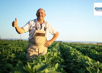 apoyos-guanajuato-para-el-campo-2024