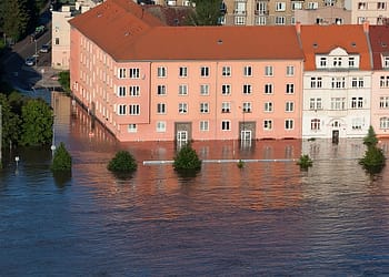 A medida que las inundaciones se vuelven más frecuentes y graves, la restauración de las llanuras aluviales y otras medidas proactivas han adquirido cada vez mayor importancia. Foto: Pixabay.