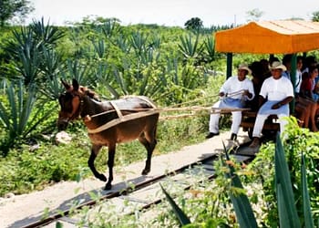 De acuerdo con la Secretaría de Turismo estatal, Yucatán cuenta con aproximadamente 300 haciendas, muchas de las cuales sin duda te robarán el aliento. Foto: Cortesía Sefotur.