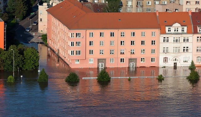 A medida que las inundaciones se vuelven más frecuentes y graves, la restauración de las llanuras aluviales y otras medidas proactivas han adquirido cada vez mayor importancia. Foto: Pixabay.