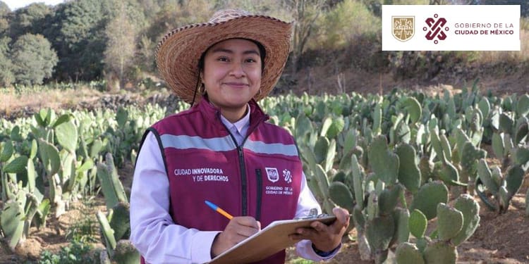 apoyos-para-el-campo-cdmx