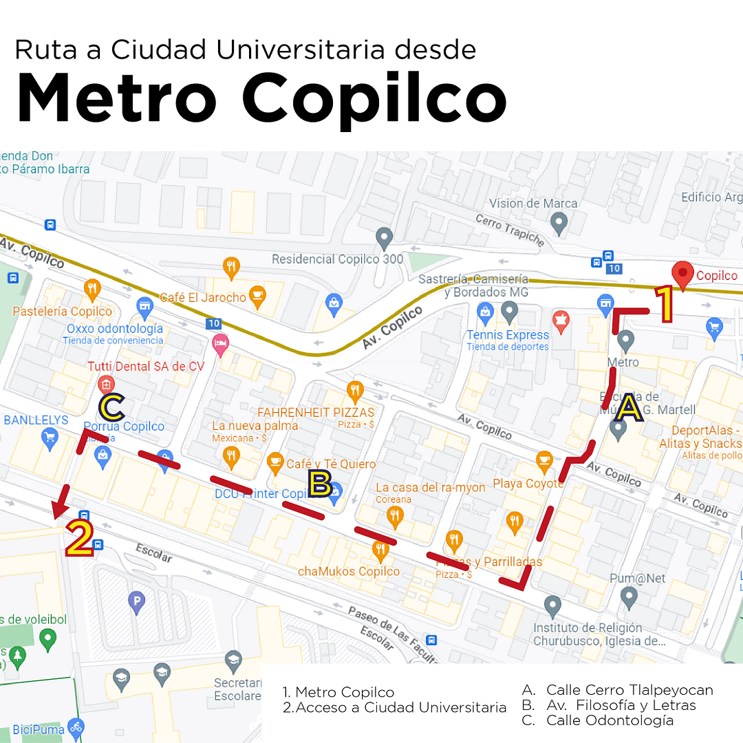 Cómo llegar a la UNAM en Metro y camión 2023 2_Mesa de trabajo 2_Mesa de trabajo 1
