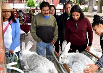 feria-regional-del-conejo-xochimilco-2022