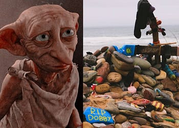 La tumba de Dobby estuvo a punto de provocar un desastre ambiental en Gales. FOTO: DataNoticias