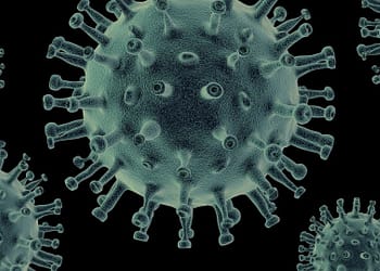 ¿Debemos preocuparnos por el mortal virus Nipah?