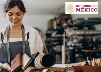 apoyos-mexico-para-negocios-emprendedores-programas