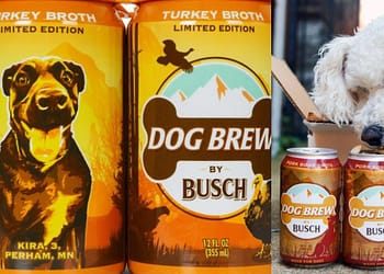 cerveza-para-perros-caldo-de-pavo-Busch