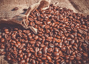 Las asimetrías en el mercado mundial del café podrían abordarse en foros multilaterales, como las Naciones Unidas o el G20. Foto: Pixabay.