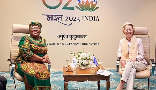 En septiembre se celebró la segunda Cumbre de los ODS , al igual que la cumbre del G20 en Nueva Delhi. Foto: Dati Bendo / European Commission. Wikimedia.