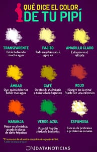 Los colores de la pipí pueden indicar problemas de salud
