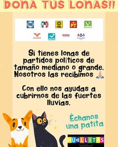 Las lonas pueden proteger a los perritos