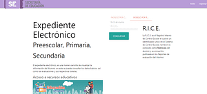 Así luce el portal del SIGED al seleccionar la opción del R.I.C.E. como método de consulta de  la primera boleta de evaluaciones SEP 2023 / imagen: datanoticias.com