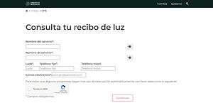 Así luce el portal de la CFE en el que podrás consultar tu recibo de luz en línea / imagen: datanoticias.com