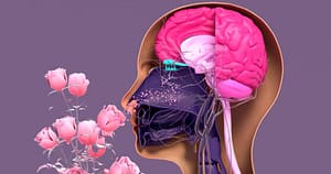 Qué-es-la-Parosmia-trastorno-olfato-asociado-Covid-5