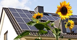 Qué-son-las-plantas-solares-como-funcionan