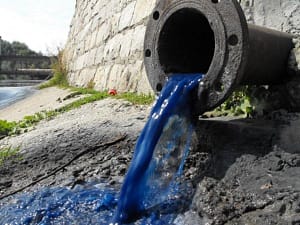 Cuida el medio ambiente