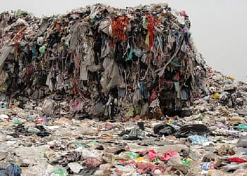 Cuida el medio ambiente