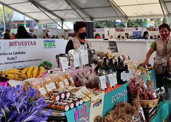 feria economia solidaria - iztapalapa