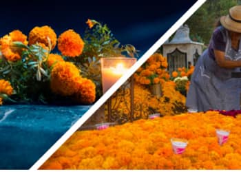 Día de Muertos