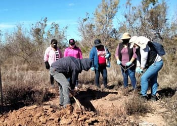 madres buscadoras asesinadas