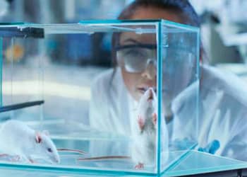 Ética-de-la-investigación-y-sujetos-no-humanos