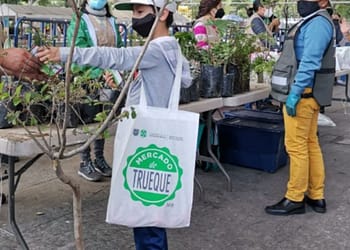 Mercado de Trueque