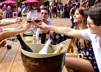 festival-de-vino-y-gastronomia-intervinos