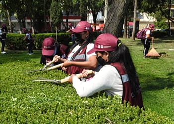 empleos verdes cdmx 2023