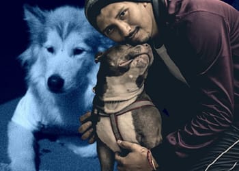 Cuando interpongas una denuncia por maltrato animal, trata de ser muy preciso y detallado en tu declaración. FOTO: DataNoticias