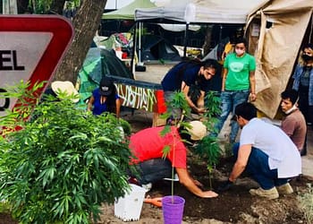 planton-420-senado-marihuana