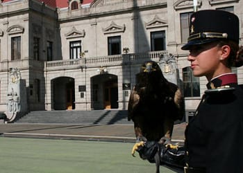 Resultados Colegio Militar 2023 Sistema educativo Militar SEDENA