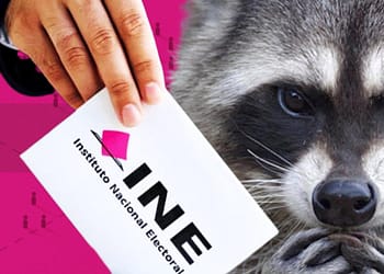 Mapaches-electorales