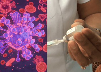 La OMS y el CDC identifican 4 tipos de influenza diferentes que tienen diversas iplicaciones en la salud. FOTO: DataNoticias