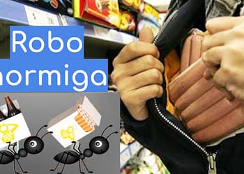 Qué-es-el-robo-hormiga