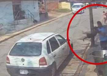 Pena máxima de 6 años por arrojar a perro de Tecámac a cazo hirviendo portada