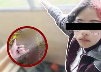 Vanessa Paola. Caso de muerte de perro Huellitas se sale de control portada vanessa n evil 1