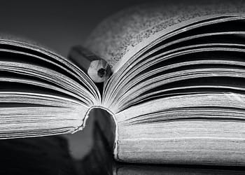Free surgió de un tratado anterior sobre cómo se interrelacionan las nociones socialistas y liberales de libertad, y es esta perspectiva la que estructura el libro. La primera parte, sobre cómo los albaneses “eligieron la libertad”, ofrece una memoria eminentemente legible de la infancia de Ypi en la última década de gobierno comunista en Albania. Si bien incluye todos los horrores de la vida cotidiana (escasez de alimentos, denuncias políticas, control y sospecha, tortura y duros castigos), también está salpicado de momentos cómicos. Foto: Pexels.