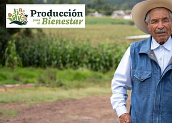 Producción para el bienestar 2024 pago