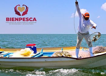 bienepesca-2024-que-es-y-cuanto-da