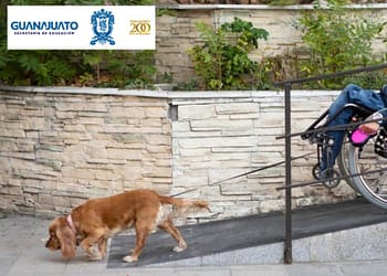 apoyo-guanajuato-para-personas-con-discapacidad-2024