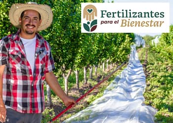 que-es-fertilizantes-para-el-bienestar-cuanto-da