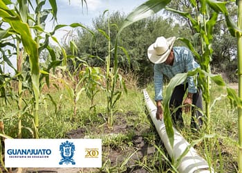 apoyo-guanajuato-captacion-pluvial