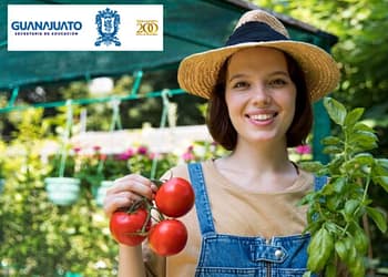 apoyo-guanajuato-fomento-al-aseguramiento-agropecuario