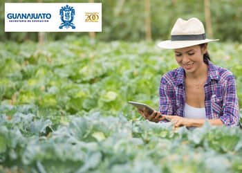 apoyo-guanajuato-para-productores-del-campo